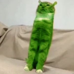 Meet your Posher, Mickey